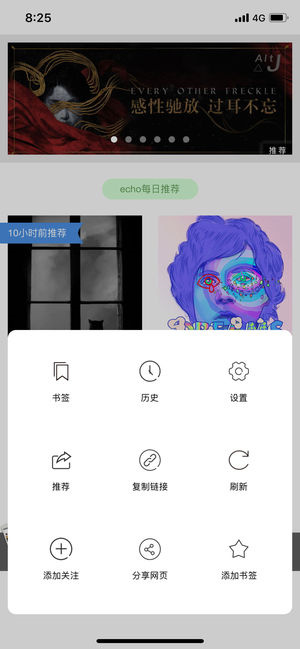 绿叶浏览器国际官网版截图3