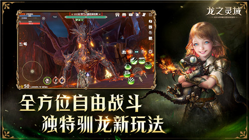 契约已成，龙灵觉醒！网易全新魔幻冒险手游《龙之灵域》3月30日正式开测！