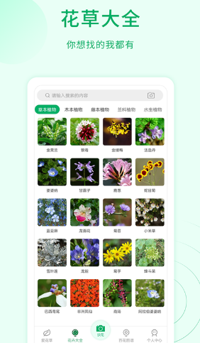 花草识别截图1