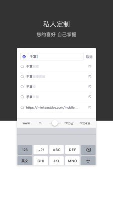 绿叶浏览器截图1