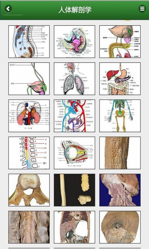 解剖学知识app截图1