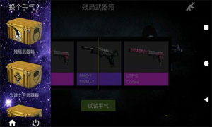 csgo开箱模拟器截图2