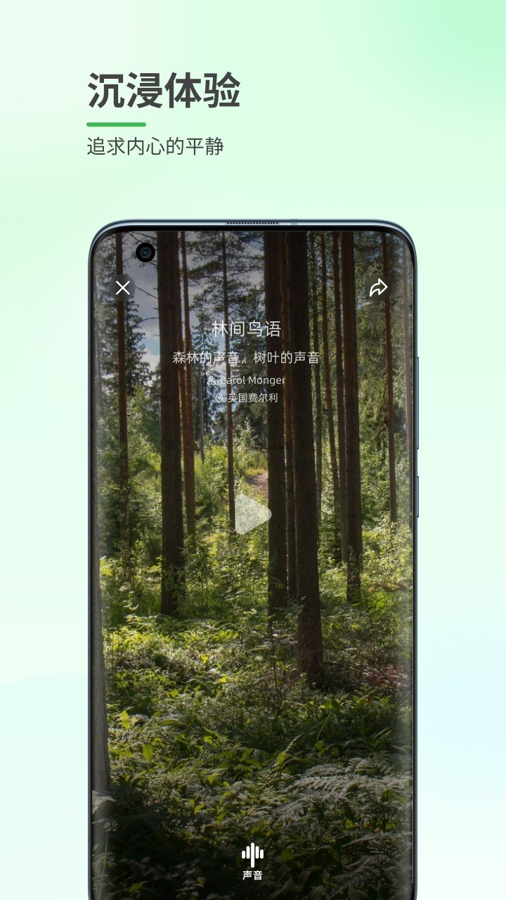 森林白噪音app截图1