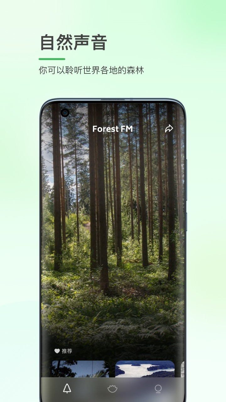 森林白噪音app截图4