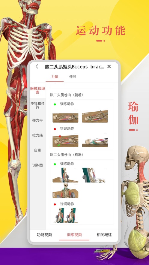 3Dbody解剖截图1