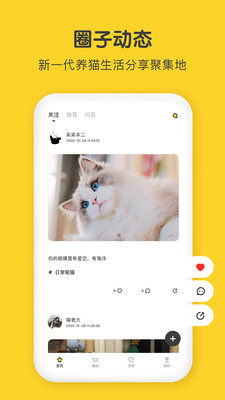 尖叫猫截图2