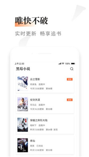 黑莓小说免费版截图3